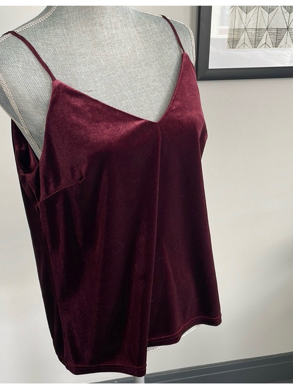 A New Day Velvet Tank